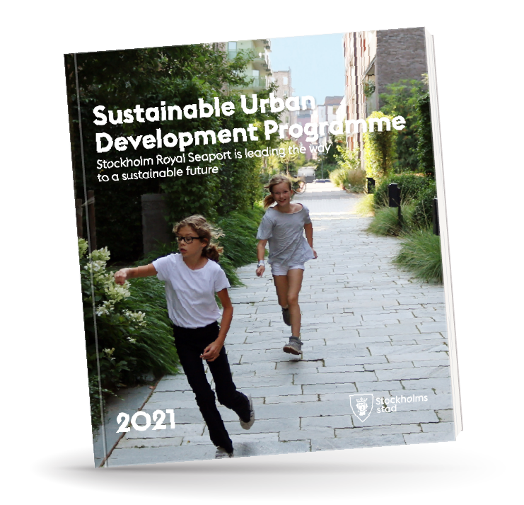 Sustainable Urban Development Programme 2021